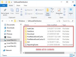 How To Delete Software Distribution Folder on Windows 10 - Windows 10