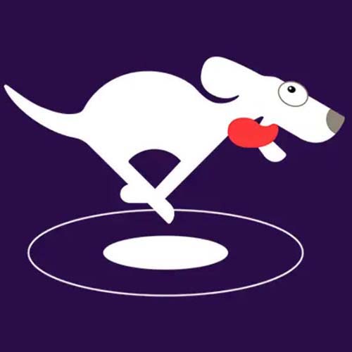 DOG VPN For PC (Windows 10/8/7/Mac) Free Download