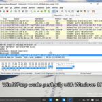 Win10Pcap works perfectly with Windows 10