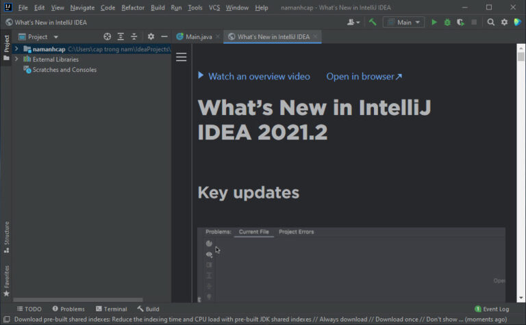 IntelliJ IDEA for windows instal free